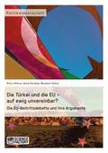 Die Turkei und die EU - auf ewig unvereinbar? Die EU-Beitrittsdebatte und ihre Argumente