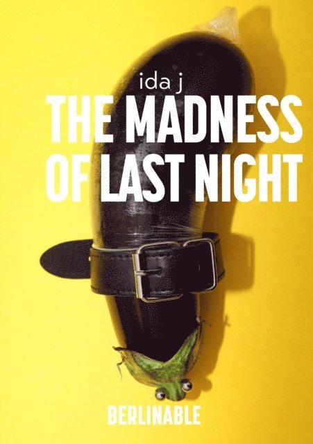 Ida J - Madness of Last Night, E-bok