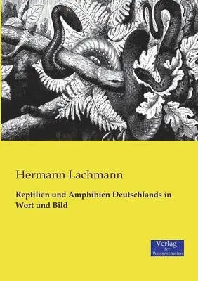 Hermann Lachmann - Reptilien und Amphibien Deutschlands in Wort und Bild, Häftad. Tillgänglighet: Lägg i varukorg