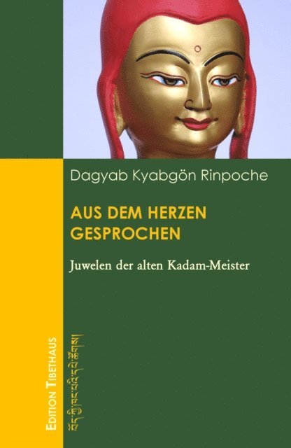 Dagyab Kyabgon Rinpoche - Aus dem Herzen gesprochen, E-bok