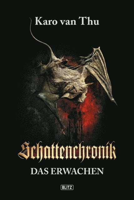 Karo van Thu - Schattenchronik 01: Das Erwachen, E-bok