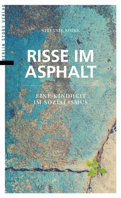 Stefanie Rofke - Risse im Asphalt, E-bok