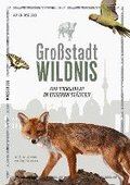 Grostadt Wildnis