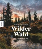 Wilder Wald