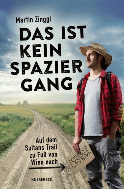 Martin Zinggl - Das ist kein Spaziergang, E-bok