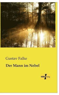 Gustav Falke - Mann im Nebel, Häftad
