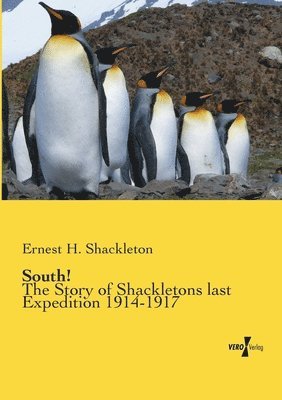 Ernest H Shackleton - South!, Häftad