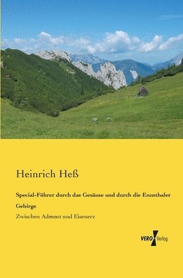 Heinrich Heß - Special-Führer durch das Gesäuse und durch die Ennsthaler Gebirge, Häftad
