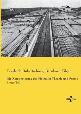 Friedrich Bub-Bodmar, Bernhard Tilger - Konservierung des Holzes in Theorie und Praxis, Häftad