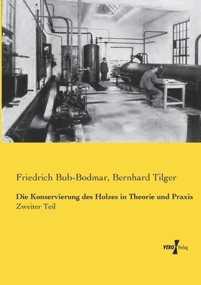 Friedrich Bub-Bodmar, Bernhard Tilger - Konservierung des Holzes in Theorie und Praxis, Häftad