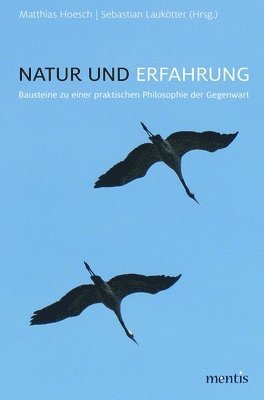 Sebastian Laukötter, Matthias Hoesch - Natur Und Erfahrung: Bausteine Zu Einer Praktischen Philosophie Der Gegenwart, Inbunden