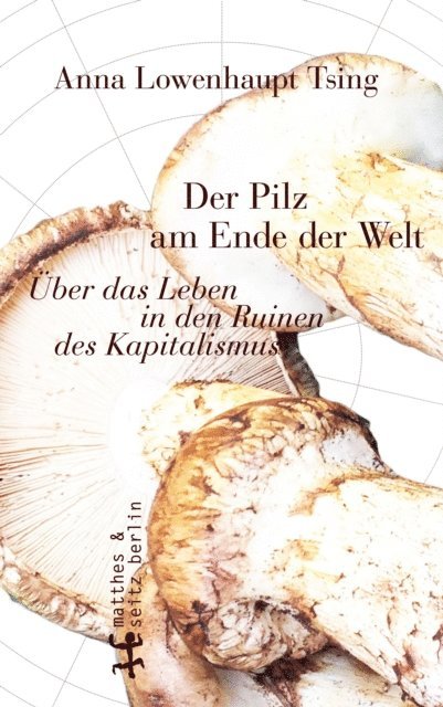 Anna Lowenhaupt Tsing - Der Pilz am Ende der Welt, E-bok