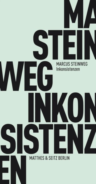 Marcus Steinweg - Inkonsistenzen, E-bok