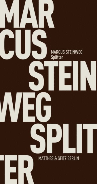 Marcus Steinweg - Splitter, E-bok