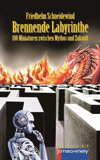 Friedhelm Schneidewind - BRENNENDE LABYRINTHE, E-bok