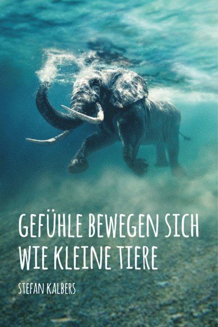 Stefan Kalbers - Gefühle bewegen sich wie kleine Tiere, E-bok