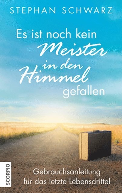 Cornelia Schwarz, Shirley Michaela Seul, Stephan Schwarz - Es ist noch kein Meister in den Himmel gefallen, E-bok