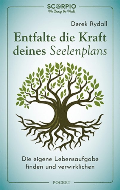 Derek Rydall - Entfalte die Kraft deines Seelenplans, E-bok