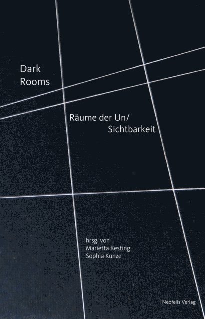 Zairong Xiang, Gabriele Werner, Stefan Solleder, Paula Muhr, Peter Hermans, Astrid Hackel, Andrea Euringer-Batorova, Nanne Buurman, Nina Kathalin Bergeest, Sophia Kunze, Marietta Kesting - Dark Rooms, E-bok