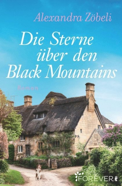 Alexandra Zobeli - Die Sterne über den Black Mountains, E-bok