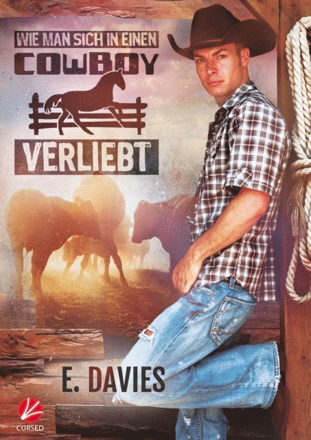 E. Davies - Wie man sich in einen Cowboy verliebt, E-bok