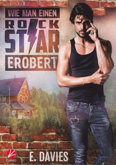 E. Davies - Wie man einen Rockstar erobert, E-bok