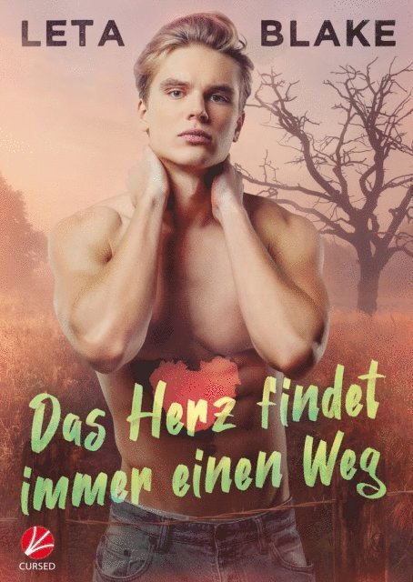 Leta Blake - Das Herz findet immer einen Weg, E-bok