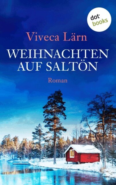 Viveca Larn - Weihnachten auf Salton, E-bok