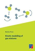 Kinetic modelling of gas mixtures