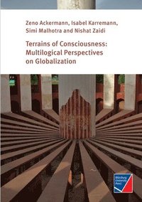 Terrains of Consciousness