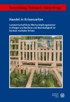 Peter Dannenberg, Alexander Follmann, Elmar Kulke - Handel in Krisenzeiten, Häftad