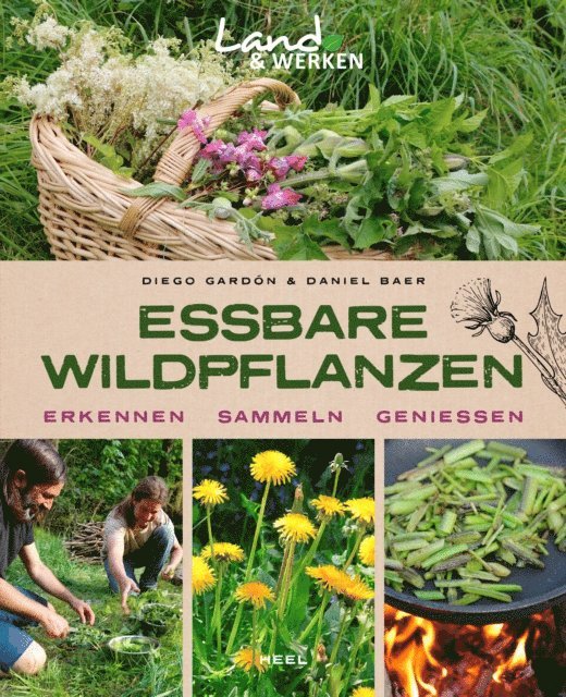 Tilmann Peschel, Diego Gardon, Daniel Baer - Essbare Wildpflanzen, E-bok