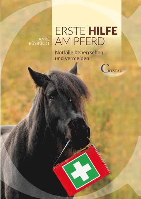 Anke Ruesbueldt - Erste Hilfe am Pferd, E-bok