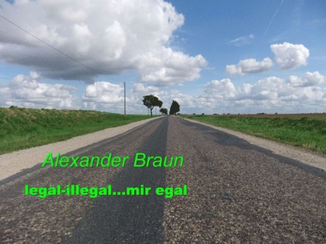 Alexander Braun - Legal - illegal... Mir egal, E-bok