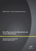 Das Phanomen der Buckelwiesen in den Dolomiten: Verbreitung und mogliche Entstehungstheorien