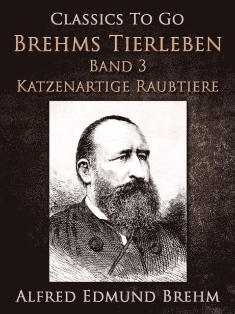 Maximilian Bern - Ein stummer Musikant. Die Geschichte einer Künstlerliebe, E-bok