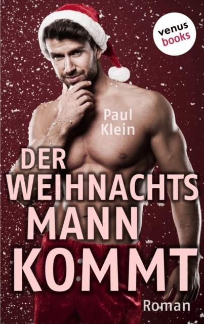 Paul Klein - Der Weihnachtsmann kommt, E-bok