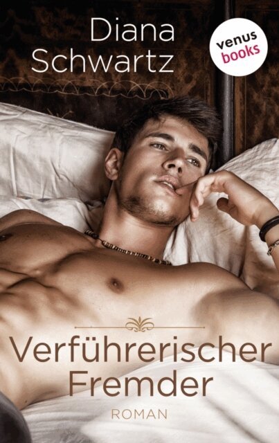 Diana Schwartz - Verfuhrerischer Fremder, E-bok