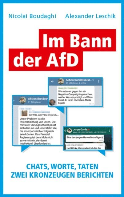 Wigbert Loer, Alexander Leschik, Nicolai Boudaghi - Im Bann der AfD, E-bok