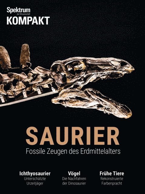 Spektrum Kompakt - Saurier