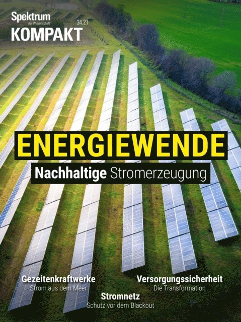 Spektrum der Wissenschaft - Spektrum Kompakt - Energiewende, E-bok