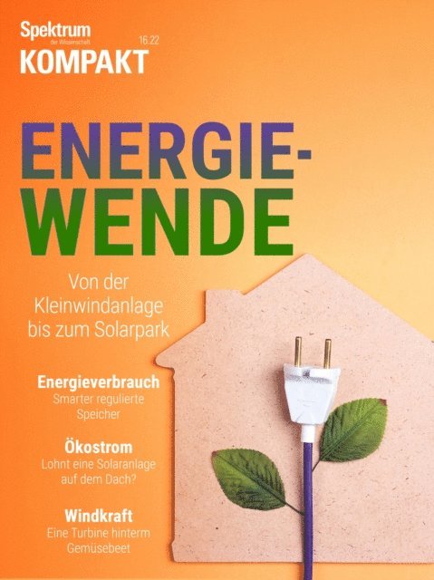 Spektrum der Wissenschaft - Spektrum Kompakt - Energiewende, E-bok