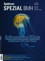 Spektrum der Wissenschaft - Spektrum Spezial BMH 3/2025 - Lebensraum Meer, Häftad