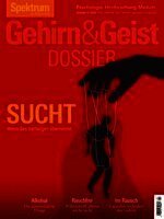 Spektrum der Wissenschaft - Gehirn&Geist Dossier 4/2025 Sucht, Häftad