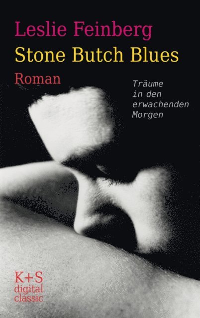 Leslie Feinberg - Stone Butch Blues, E-bok