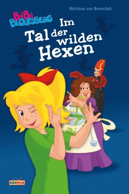 Matthias von Bornstadt - Bibi Blocksberg - Im Tal der wilden Hexen, E-bok
