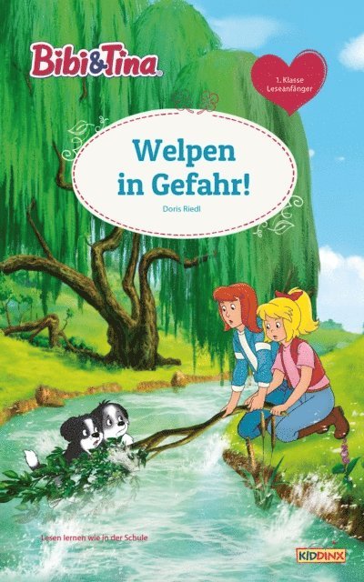 Doris Riedl - Bibi & Tina - Welpen in Gefahr!, E-bok