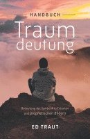 Ed Traut, Renée Schneider - Handbuch Traumdeutung, Häftad