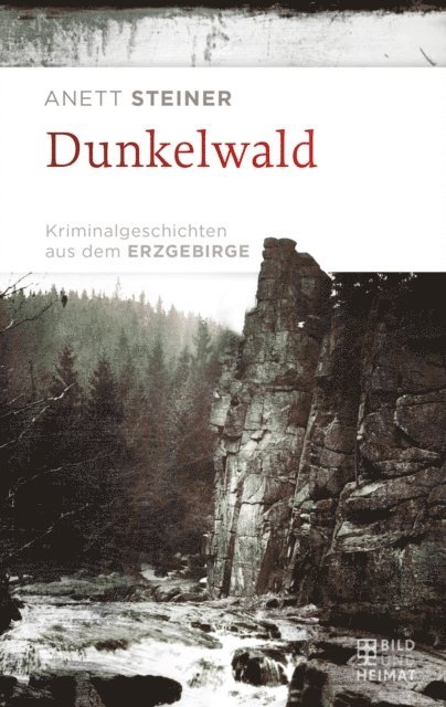Anett Steiner - Dunkelwald, E-bok