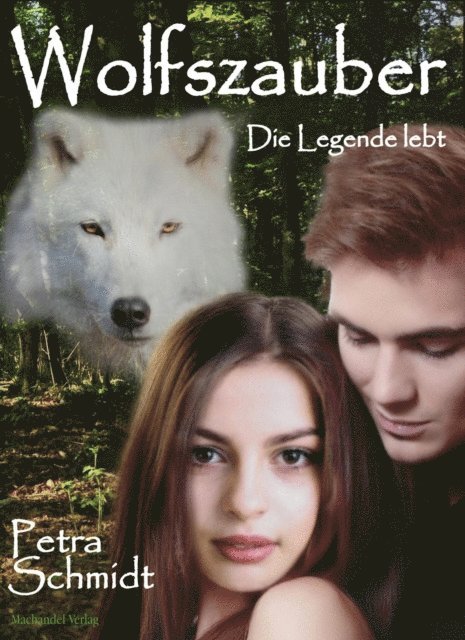 Petra Schmidt - Wolfszauber, E-bok